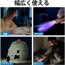 Flashlights & Torches