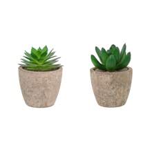 1 Set(5pcs Or 3pcs Or 2pcs)Artificial Succulent Plants Potted,Simulation Plants With Small Artificial Plants, Includes Flower Pots For Interior Home Decor, Office, Bathroom And Bedroom, Comes With Plastic Eucalyptus And Micro Wheat Grass Plants, Perfect For Indoor Desk Artificial Plant Decoration