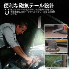 Flashlights & Torches