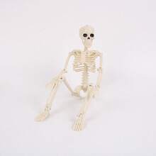 1 Stück Halloween Skelett Simulation menschliches Plastik Skelett Dekoration Spukhaus Feiertagsszenerie Requisiten