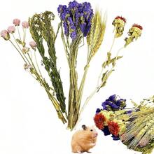 50/100 Pcs/Set Christmas Decoration, PINVNBY Natural Flower & Herbs Hamster Bedding Habitat Decor, Hamster Spray, Hamster Cage Accessories, Dwarf Hamster, Mice, Small Rodent (Grain Version) Room Decor/Ornament