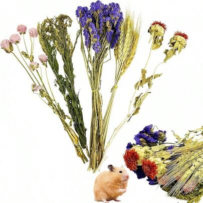 50/100 Pcs/Set Christmas Decoration, PINVNBY Natural Flower & Herbs Hamster Bedding Habitat Decor, Hamster Spray, Hamster Cage Accessories, Dwarf Hamster, Mice, Small Rodent (Grain Version) Room Decor/Ornament