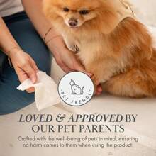 240pcs Pet-Specific Wet Wipes, Cat And Dog No-Wash Towels, Tear Stain Cleaning, Body Area, Cleaning Wipes, Pet Cleaning Supplies, Suitable For Daily Use And Travel