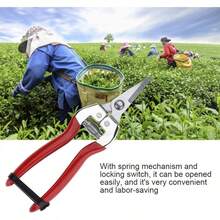 Pruning Tools - ก้มหัวลง - ดู 4