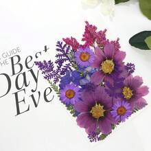20Pcs Pressed Flowers Resin Molds Real Natural Pressed Flowers Art Crafts,Candle Making, Nails Décor,Soap Making, Phone. - 紫色乾燥花 03 - 查看 4