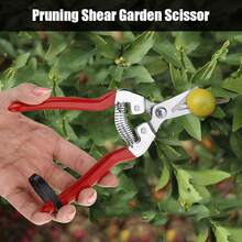 Pruning Tools - ก้มหัวลง - ดู 3