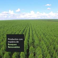 Ropero Doble Madesa Reno 3 Puertas Corredizas 1 Espejo Color Blanco - Blanco - Ver 10