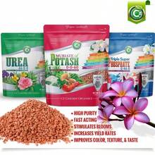Muriate Of Potash 0-0-60 Fertilizer Made In USA - MOP Potassium Plant Food For Plants &Amp; Flower Gardens – Promotes Big Blooms! Fruit, Vegetables - Cz Garden Organics Muriate of Potash 10LB - 查看 3