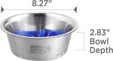 Local Delivery- Outward Hound Fun Feeder Slo Bowl, Slow Feeder Dog Bowl, Medium/Mini, Turquoise - Thép không gỉ - Xem 9
