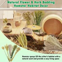 50/100 Pcs/Set Christmas Decoration, PINVNBY Natural Flower & Herbs Hamster Bedding Habitat Decor, Hamster Spray, Hamster Cage Accessories, Dwarf Hamster, Mice, Small Rodent (Grain Version) Room Decor/Ornament