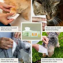 240pcs Pet-Specific Wet Wipes, Cat And Dog No-Wash Towels, Tear Stain Cleaning, Body Area, Cleaning Wipes, Pet Cleaning Supplies, Suitable For Daily Use And Travel