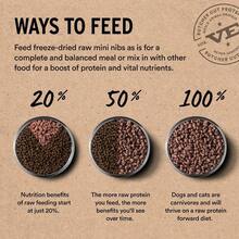 FreezeDried Raw Duck Entree Mixer Dog Food Crunchy Mini Nibs 5.5 Oz - Duck - View 9