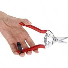 Pruning Tools - ก้มหัวลง - ดู 6