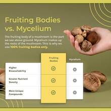 Sacred 7 Mushroom Coffee Booster |   Organic Mushroom Supplement Powder – Lions Mane, Reishi, Chaga & More |   Adaptogen + Nootropic |   100% Fruiting Bodies |   Mix With Coffee,Tea, Smoothies - 60 Servings - 冬蟲夏草 - 查看 5