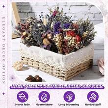 24 Pcs Boho Dried Flower  Mini  Andmade Dry Flowers Decor For Vase Crafts  Photo Boutonniere For Men L Plant For Bridesmaid Gift Birthday Decor(Lavender)