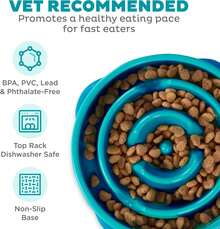 Local Delivery- Outward Hound Fun Feeder Slo Bowl, Slow Feeder Dog Bowl, Medium/Mini, Turquoise - Màu ngọc lam - Xem 9