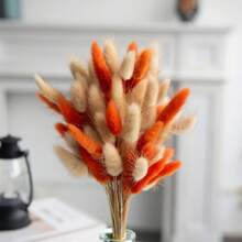 باقة من عشب البامباس الطبيعي والأزهار البرتقالية المجففة الاصطناعية، مناسبة لديكور المنزل في أسلوب البوهيمي، للزفاف، عيد الميلاد، وغيرها من الحفلات العامة