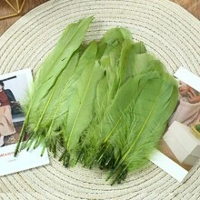 50/100pcs Colorful Goose Feathers, 15-20cm, Soft & Fluffy, High-End Quality, Vibrant Colors, Suitable For Wedding Decor, Photography Props, DIY Crafts, Studio Backdrops, Display Windows And Party Decorations. (Red Feathers) - Multicolor - View 5