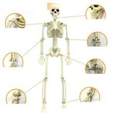 1 Stück Halloween Skelett Simulation menschliches Plastik Skelett Dekoration Spukhaus Feiertagsszenerie Requisiten