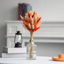 باقة من عشب البامباس الطبيعي والأزهار البرتقالية المجففة الاصطناعية، مناسبة لديكور المنزل في أسلوب البوهيمي، للزفاف، عيد الميلاد، وغيرها من الحفلات العامة