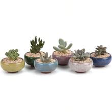SRGTDH 2.5 Inch Small Ceramic Succulent Planter Pot With Drainage Hole Set Of 12, Ice Crack Glaze Plant Container For Cactus, Plant Lover Gifts For Women Mom Aunt Home Office Decor