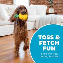 Outward Hound By Planet Dog Dental Pineapple Dental Chew Toy And Interactive Treat Stuffer Durable Dog Toy Stuffable Dog Toy, Yellow - Pineapple - View 5