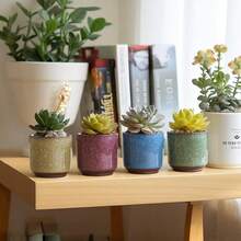 SRGTDH 2.5 Inch Small Ceramic Succulent Planter Pot With Drainage Hole Set Of 12, Ice Crack Glaze Plant Container For Cactus, Plant Lover Gifts For Women Mom Aunt Home Office Decor