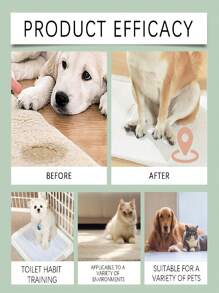 Pet Toilet Training Spray - Helps Train Cats & Dogs To Develop Good Bathroom Habits, Guides Bowel Movements, Deodorizes, Detangles - Random Old/New Version Sent