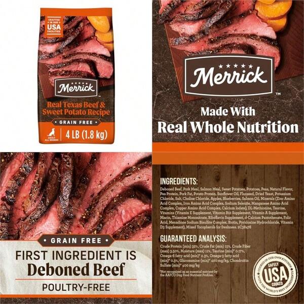 Premium Grain Free Dry Adult Dog Food Wholesome And Natural Kibble Real Texas Beef And Sweet Potato 4.0 Lb. Bag