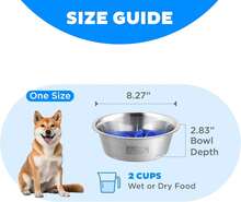 Local Delivery- Outward Hound Fun Feeder Slo Bowl, Slow Feeder Dog Bowl, Medium/Mini, Turquoise - Thép không gỉ - Xem 7