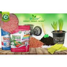 Muriate Of Potash 0-0-60 Fertilizer Made In USA - MOP Potassium Plant Food For Plants &Amp; Flower Gardens – Promotes Big Blooms! Fruit, Vegetables - Cz Garden Organics Muriate of Potash 10LB - 查看 8