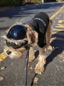 Pet Helmet And UV Protection Goggles Set - Anti-Wind Pet Hat And Pet Sunglasses Combo, Dog Cat Motorcycle Outdoor Helmet Hat Glasses Accessories - Multicolor - View 8