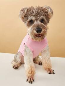 Atmungsaktive & modische Haustier Hund/Katze Weste, Kühlung für den Sommer