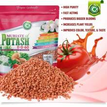 Muriate Of Potash 0-0-60 Fertilizer Made In USA - MOP Potassium Plant Food For Plants &Amp; Flower Gardens – Promotes Big Blooms! Fruit, Vegetables - Cz Garden Organics Muriate of Potash 10LB - 查看 2