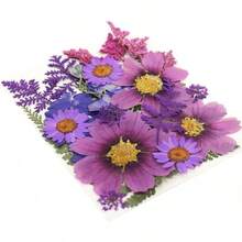 20Pcs Pressed Flowers Resin Molds Real Natural Pressed Flowers Art Crafts,Candle Making, Nails Décor,Soap Making, Phone. - 紫色乾燥花 03 - 查看 7