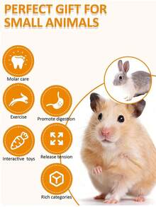 20件/4件/9件/7件/18件装兔子/豚鼠磨牙玩具，天然苹果木磨牙玩具组合，手工制作豚鼠仓鼠小型动物磨牙玩具 - 彩色 - 查看 5