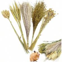 50/100 Pcs/Set Christmas Decoration, PINVNBY Natural Flower & Herbs Hamster Bedding Habitat Decor, Hamster Spray, Hamster Cage Accessories, Dwarf Hamster, Mice, Small Rodent (Grain Version) Room Decor/Ornament