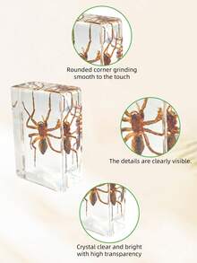 1pc(7.3cm/2.8in) Transparent Resin Insect Paperweight Sculpture - Desk Organizer For Book Lovers & Entomology Fans - Zen Office Paperweight For Anxiety Relief - Unique Birthday Gift For Nature Collectors - Entomology Learning Kit(Hand Made) - Multicolor - View 6