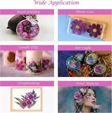 20Pcs Pressed Flowers Resin Molds Real Natural Pressed Flowers Art Crafts,Candle Making, Nails Décor,Soap Making, Phone. - 紫色乾燥花 03 - 查看 9