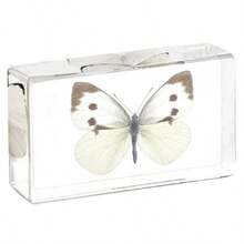 1pc(7.3cm/2.8in) Transparent Resin Insect Paperweight Sculpture - Desk Organizer For Book Lovers & Entomology Fans - Zen Office Paperweight For Anxiety Relief - Unique Birthday Gift For Nature Collectors - Entomology Learning Kit(Hand Made) - Multicolor - View 9