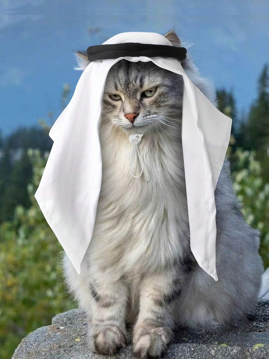 1 件宠物帽子和围巾服装，派对装饰，角色扮演，照片，可爱猫咪帽子，适合中型猫、小兔子和小型犬，不适合体重超过 33 磅的宠物 - 彩色 - 查看 1