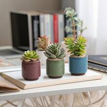 SRGTDH 2.5 Inch Small Ceramic Succulent Planter Pot With Drainage Hole Set Of 12, Ice Crack Glaze Plant Container For Cactus, Plant Lover Gifts For Women Mom Aunt Home Office Decor