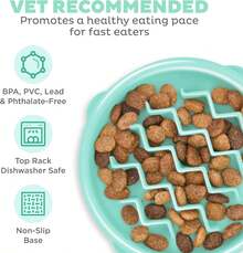 Local Delivery- Outward Hound Fun Feeder Slo Bowl, Slow Feeder Dog Bowl, Medium/Mini, Turquoise - Mint - 查看 8