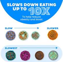 Local Delivery- Outward Hound Fun Feeder Slo Bowl, Slow Feeder Dog Bowl, Medium/Mini, Turquoise - Thép không gỉ - Xem 6