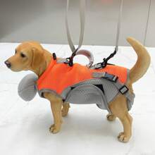 Nouveau sac à dos portable pour animaux de compagnie, sac à main pour chat avec laisse, vêtements pour petits chiens