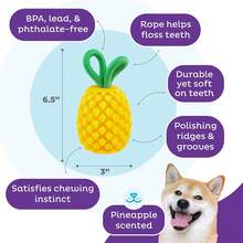 Outward Hound By Planet Dog Dental Pineapple Dental Chew Toy And Interactive Treat Stuffer Durable Dog Toy Stuffable Dog Toy, Yellow - Pineapple - View 3