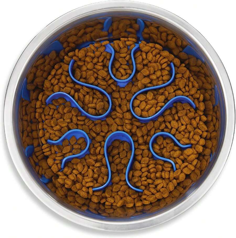 Local Delivery- Outward Hound Fun Feeder Slo Bowl, Slow Feeder Dog Bowl, Medium/Mini, Turquoise - Thép không gỉ - Xem 1