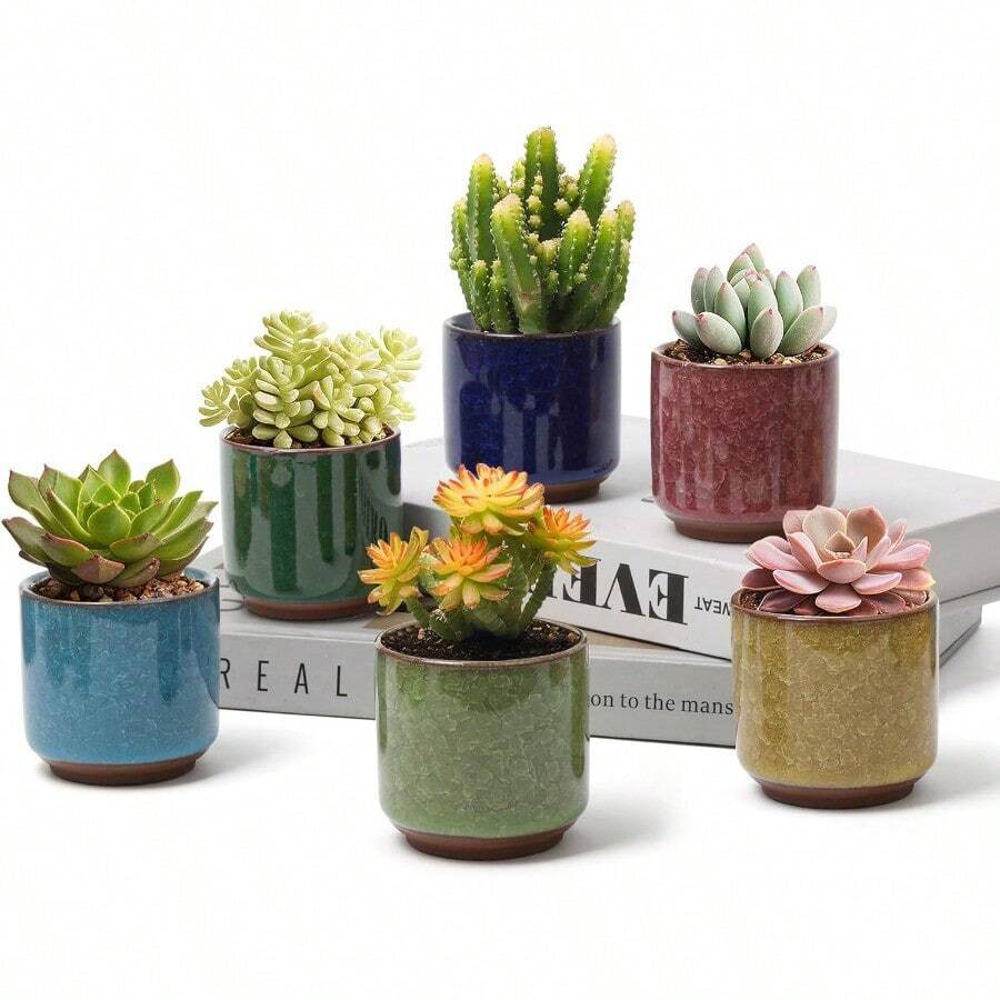 SRGTDH 2.5 Inch Small Ceramic Succulent Planter Pot With Drainage Hole Set Of 12, Ice Crack Glaze Plant Container For Cactus, Plant Lover Gifts For Women Mom Aunt Home Office Decor