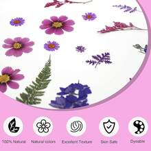 20Pcs Pressed Flowers Resin Molds Real Natural Pressed Flowers Art Crafts,Candle Making, Nails Décor,Soap Making, Phone. - 紫色乾燥花 03 - 查看 5
