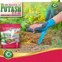 Muriate Of Potash 0-0-60 Fertilizer Made In USA - MOP Potassium Plant Food For Plants &Amp; Flower Gardens – Promotes Big Blooms! Fruit, Vegetables - Cz Garden Organics Muriate of Potash 10LB - 查看 5